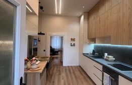 Apartament de vanzare, cu o cameră, 55 mp, zona Centrul Istoric