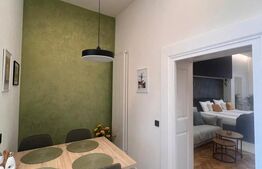 Apartament de vanzare, cu o cameră, 55 mp, zona Centrul Istoric