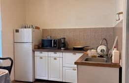 Apartament de vanzare, cu 3 camere, 98 mp, zona Centrul Istoric