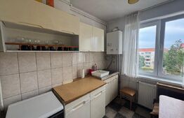 Apartament de vanzare, cu 2 camere, 48 mp, zona Terezian