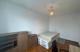 Apartament de vanzare, cu 2 camere, 48 mp, zona Terezian