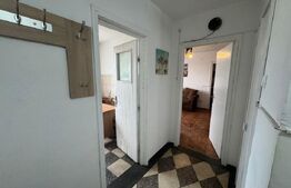 Apartament de vanzare, cu 2 camere, 48 mp, zona Terezian