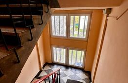 Apartament de vanzare, cu 2 camere, 48 mp, zona Terezian