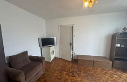 Apartament de vanzare, cu 2 camere, 48 mp, zona Terezian