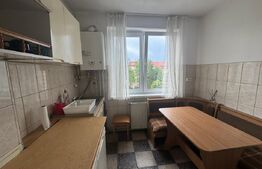 Apartament de vanzare, cu 2 camere, 48 mp, zona Terezian