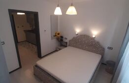 Garsoniera, 21 mp, decomandat, zona Vasie Aron