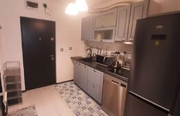 Garsoniera, 21 mp, decomandat, zona Vasie Aron