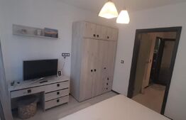 Garsoniera, 21 mp, decomandat, zona Vasie Aron