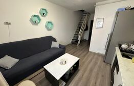 Apartament cu 2 camere, 36 mp zona Terezian