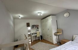 Apartament cu 2 camere, 36 mp zona Terezian