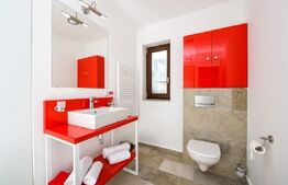 Pensiune de închiriat integral – Păltiniș , 12 camere 