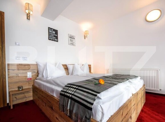 Spațiu comercial de închiriat Paltinis - 173938SIC | BLITZ Sibiu | Poza8