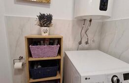 Garsoniera de vanzare, 30 mp, zona ultracentrala