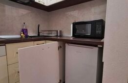 Garsoniera de vanzare, 30 mp, zona ultracentrala