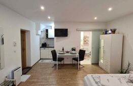 Garsoniera de vanzare, 30 mp, zona ultracentrala