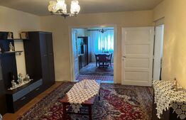 Casă spațioasă de vânzare în Rășinari, Sibiu – 4 camere, pivniță, demisol, curte