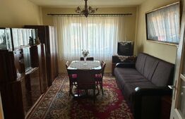 Casă spațioasă de vânzare în Rășinari, Sibiu – 4 camere, pivniță, demisol, curte