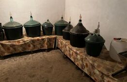 Casă spațioasă de vânzare în Rășinari, Sibiu – 4 camere, pivniță, demisol, curte