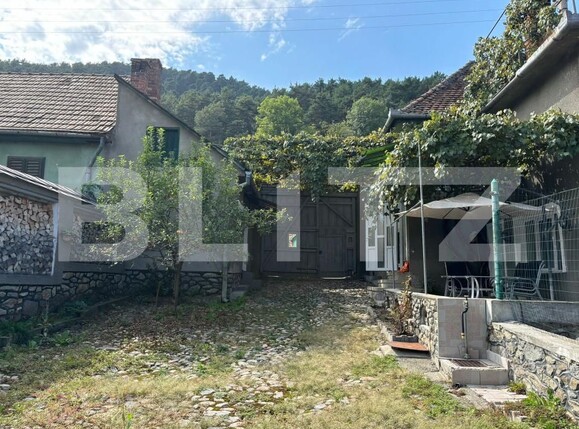 Casa de vânzare 4 camere Răşinari - 174093CV | BLITZ Sibiu | Poza16