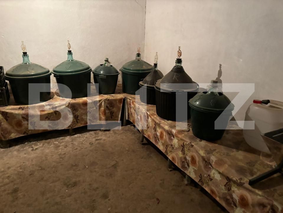 Casa de vânzare 4 camere Răşinari - 174093CV | BLITZ Sibiu | Poza13