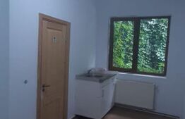 Apartament 2 camere,  55 mp, zona Bulevardul Victoriei