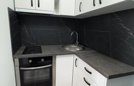 Garsonieră renovată complet - Terezian