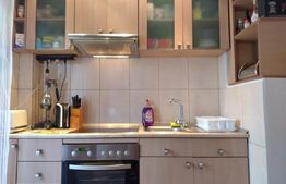 Apartament cu 2 camere, mobilat si utilat, Hipodrom 4