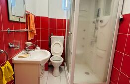 Apartament cu 1 camera + loc parcare, zona Turnișor