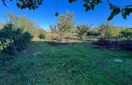 Casa individuala 4 camere 