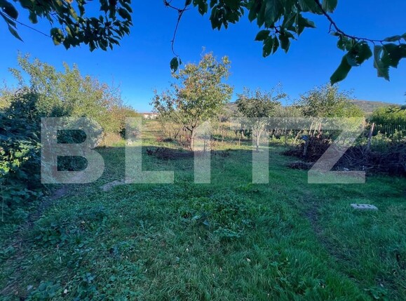 Casa de vânzare 4 camere Gusterita - 178444CV | BLITZ Sibiu | Poza14