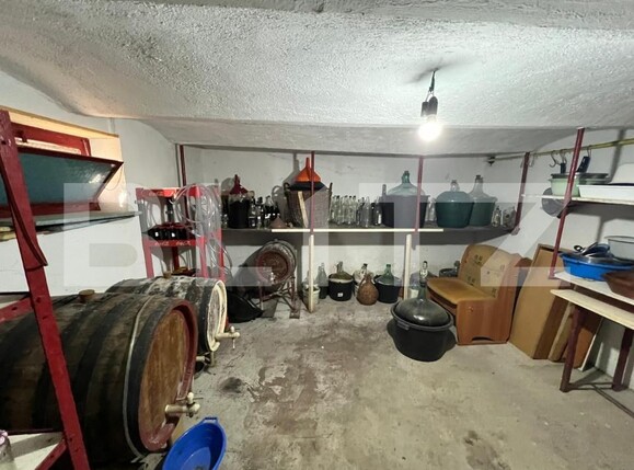 Casa de vânzare 4 camere Gusterita - 178444CV | BLITZ Sibiu | Poza12