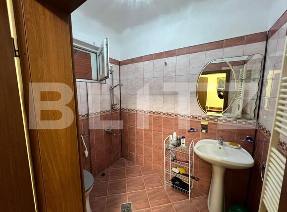 Casa de vânzare 4 camere Gusterita - 178444CV | BLITZ Sibiu | Poza10