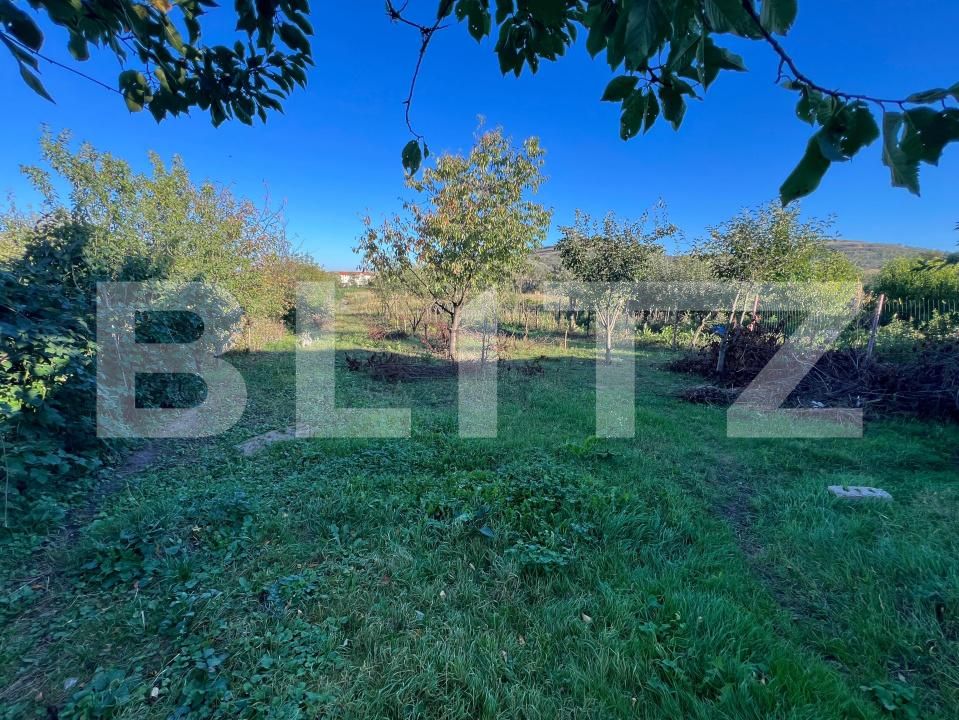 Casa de vânzare 4 camere Gusterita - 178444CV | BLITZ Sibiu | Poza14