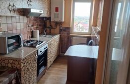 Apartament la mansarda, 4 camere, Vasile Aron 
