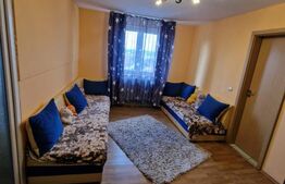 Apartament la mansarda, 4 camere, Vasile Aron 