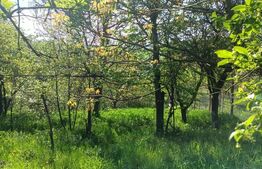 Casă de vânzare în Nucet, județul Sibiu – locație pitorească, la doar 23 km de o