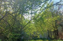 Casă de vânzare în Nucet, județul Sibiu – locație pitorească, la doar 23 km de o