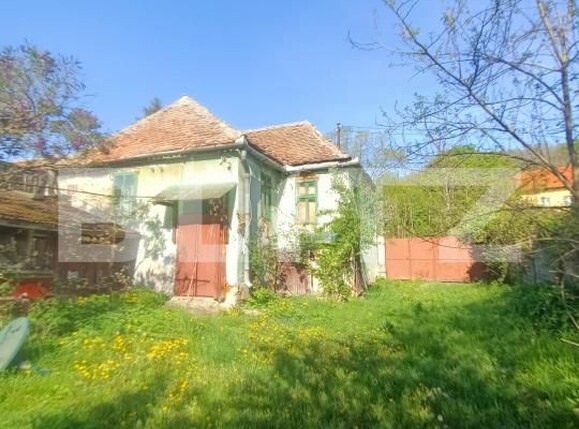 Casa de vânzare 2 camere Nucet - 179222CV | BLITZ Sibiu | Poza1