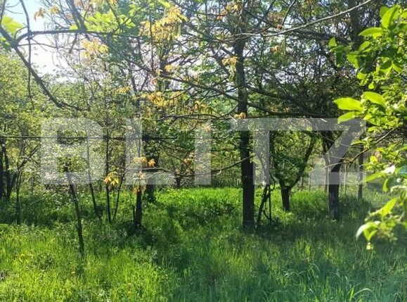 Casa de vânzare 2 camere Nucet - 179222CV | BLITZ Sibiu | Poza3