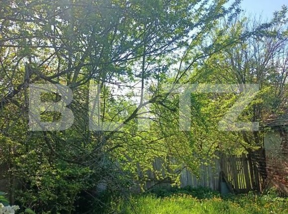 Casa de vânzare 2 camere Nucet - 179222CV | BLITZ Sibiu | Poza2