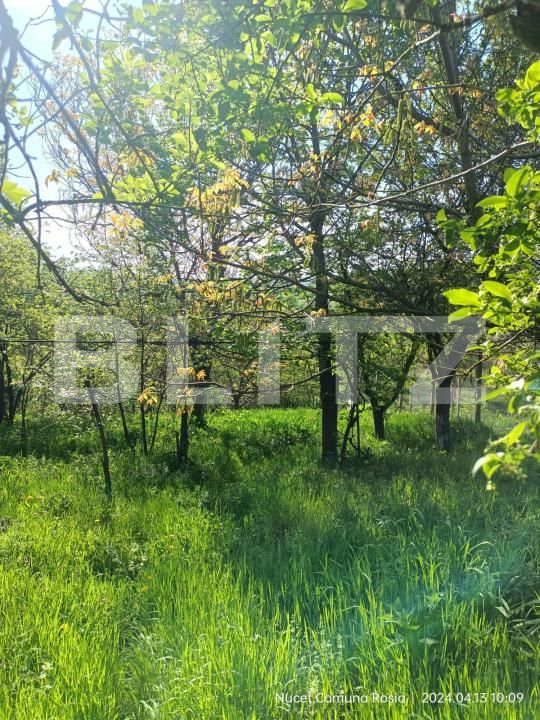 Casa de vânzare 2 camere Nucet - 179222CV | BLITZ Sibiu | Poza3