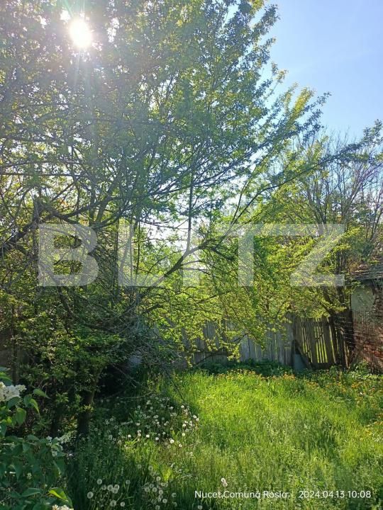 Casa de vânzare 2 camere Nucet - 179222CV | BLITZ Sibiu | Poza2