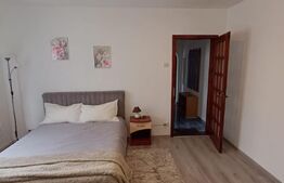 Apartament cu 3 camere, 45 mp, zona Vasile Aron