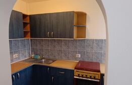 Apartament cu 3 camere, 45 mp, zona Vasile Aron