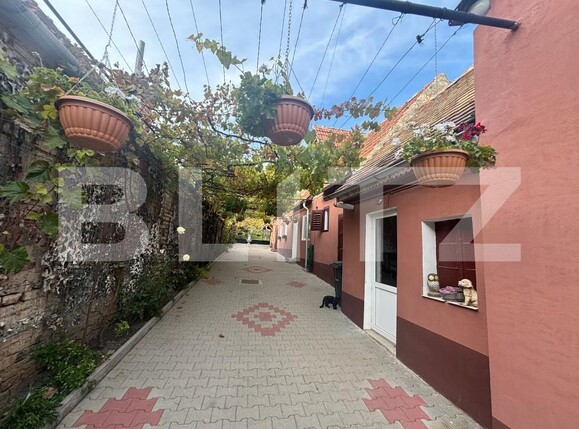 Casa de vânzare 3 camere Sura Mare - 180308CV | BLITZ Sibiu | Poza2