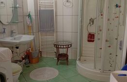 Casă superbă în Tălmaciu, cu curte verde și priveliște panoramică spre munți