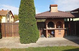 Casă superbă în Tălmacel, cu curte verde și priveliște panoramică spre munți