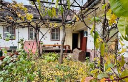 Casa  de vanzare, 2 camere, 86 mp - langa piata Cibin