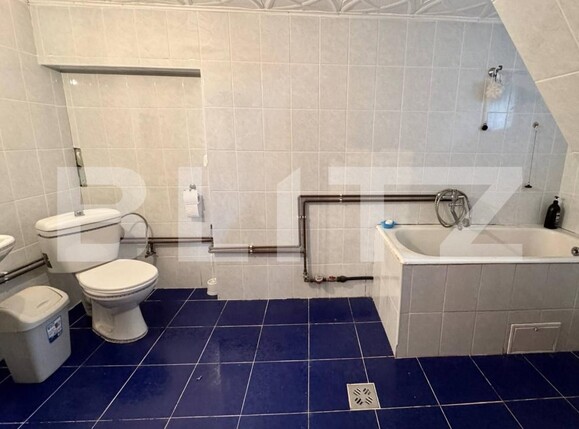 Casa de vânzare 2 camere Terezian - 180645CV | BLITZ Sibiu | Poza10
