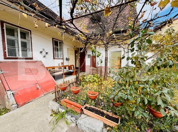 Casa de vânzare 2 camere Terezian - 180645CV | BLITZ Sibiu | Poza12